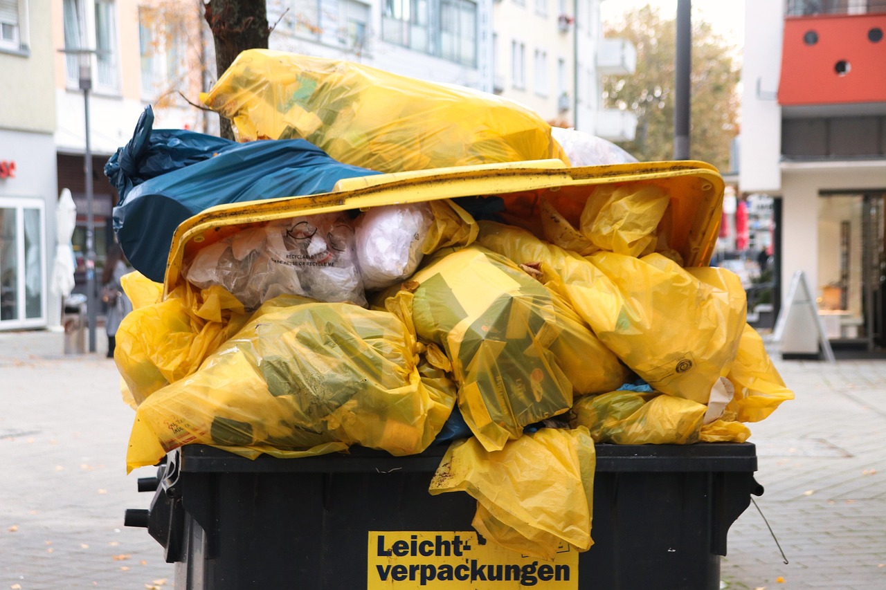 The Last Load on Laurel Canyon: A Los Angeles Dumpster Removal Story