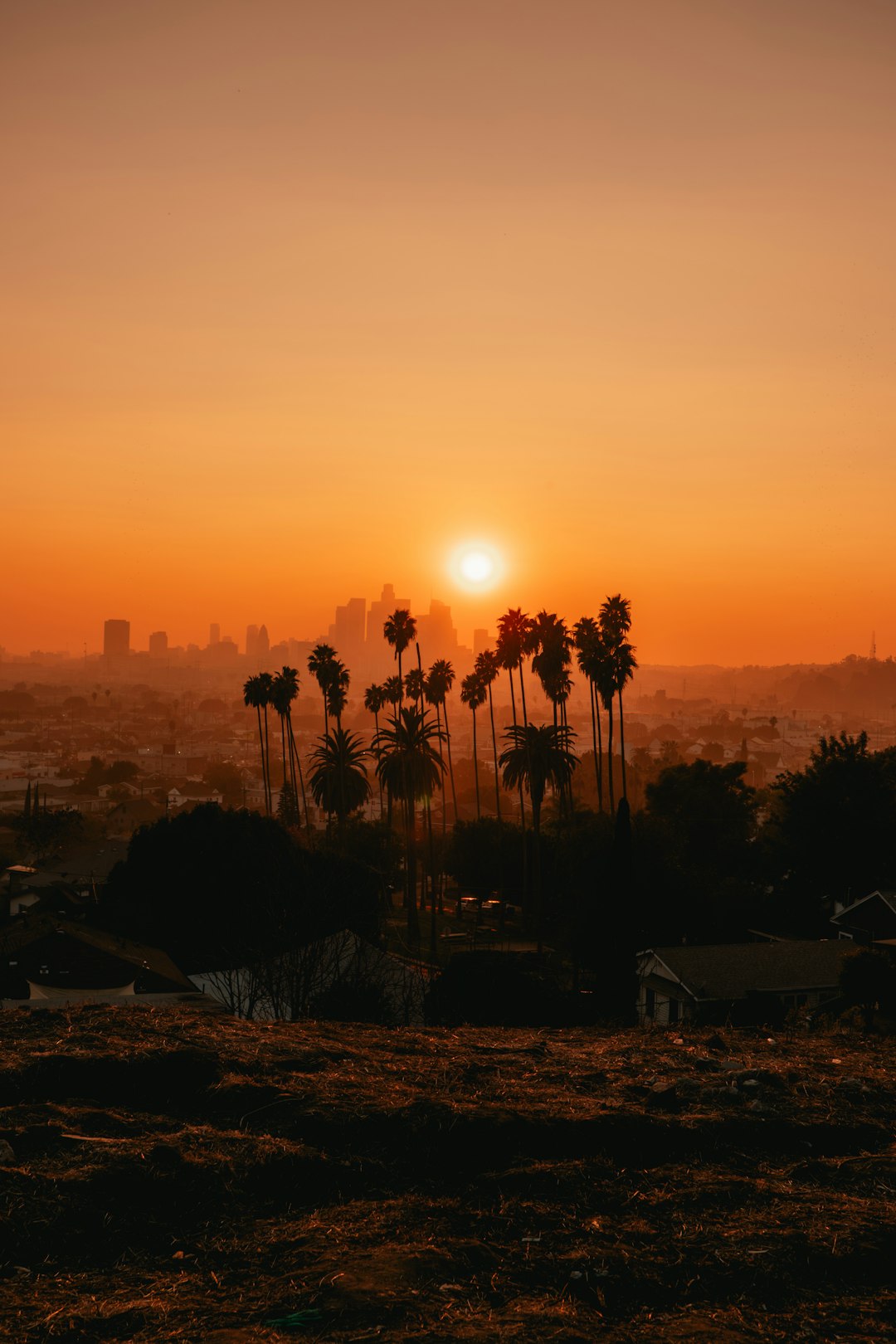 When the Alley Filled Up: A Los Angeles Story About Dumpster Removal and Renewal
