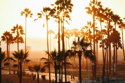 Dumpster Days in Los Angeles: Navigating Removal Across the City