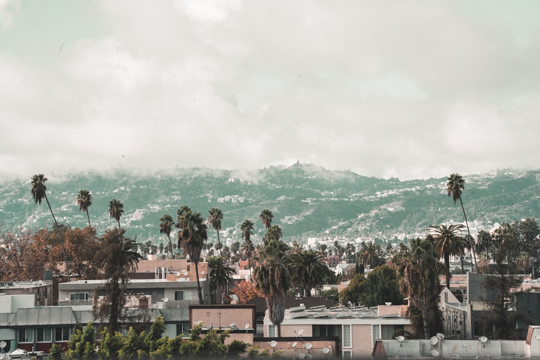Hauling Away the Past: A Journey Through Dumpster Removal in Greater Los Angeles