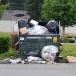 Rolling Through Los Angeles: A Story of Dumpster Days and Neighborhood Change