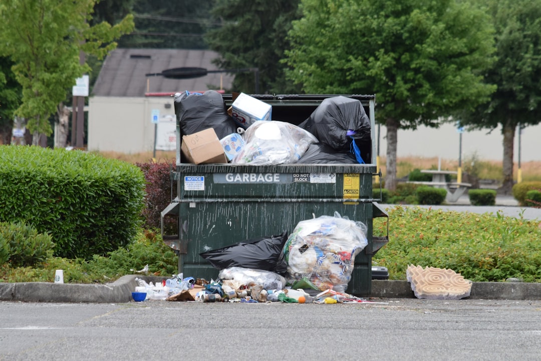 Rolling Through Los Angeles: A Story of Dumpster Days and Neighborhood Change