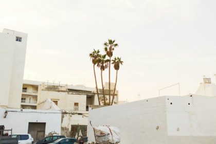 Clearing the Way: A Los Angeles Story of Dumpster Removal and Neighborhood Renewal