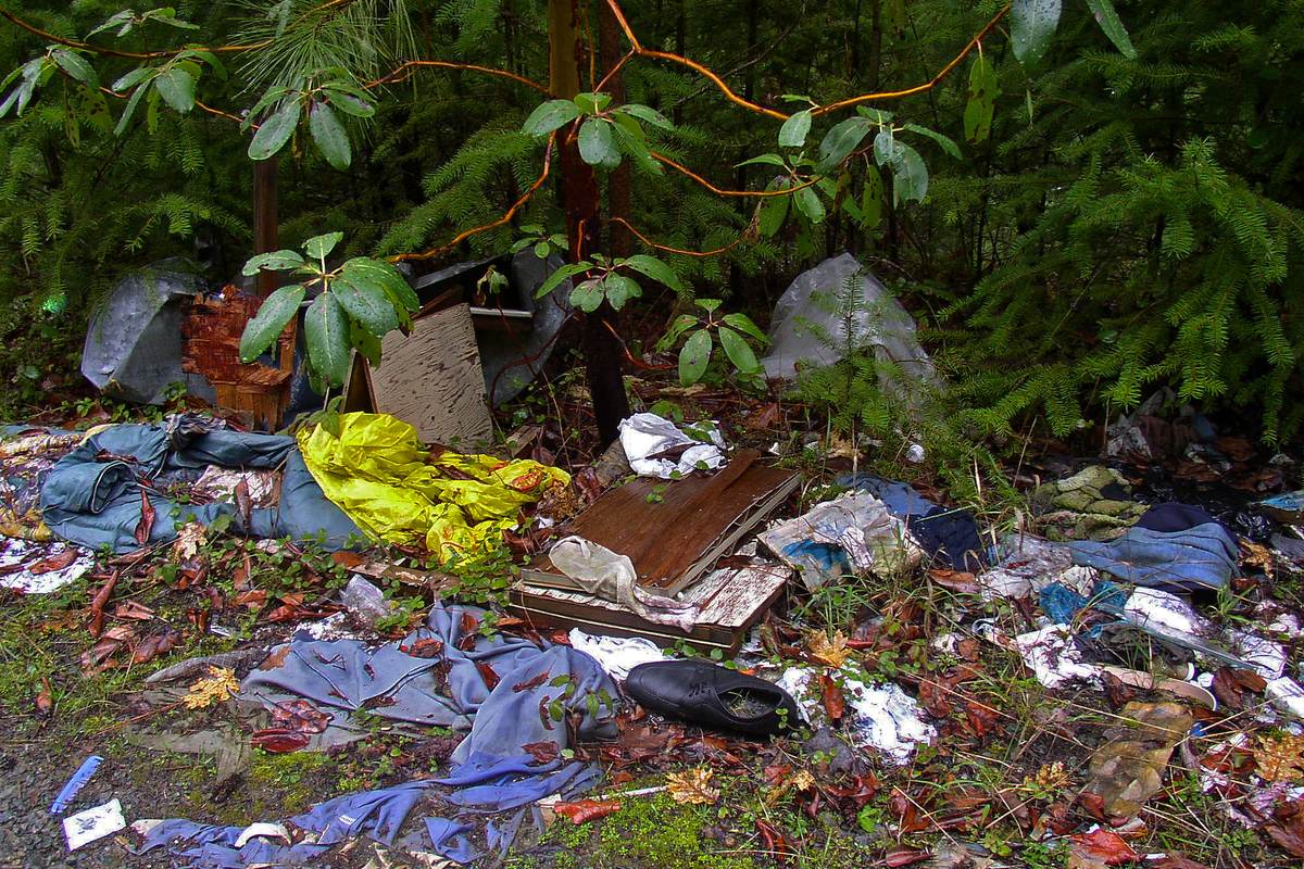 Illegally dumped trash scattered on public land