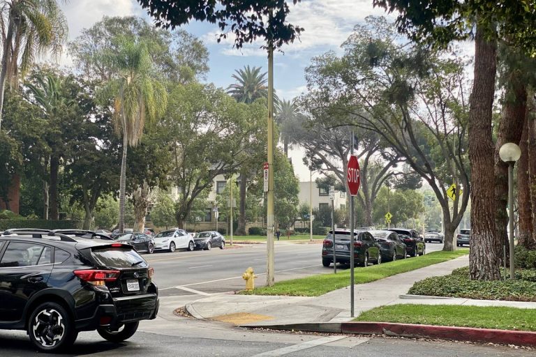 Tree-lined residential street with parked cars in University Park, Los Angeles